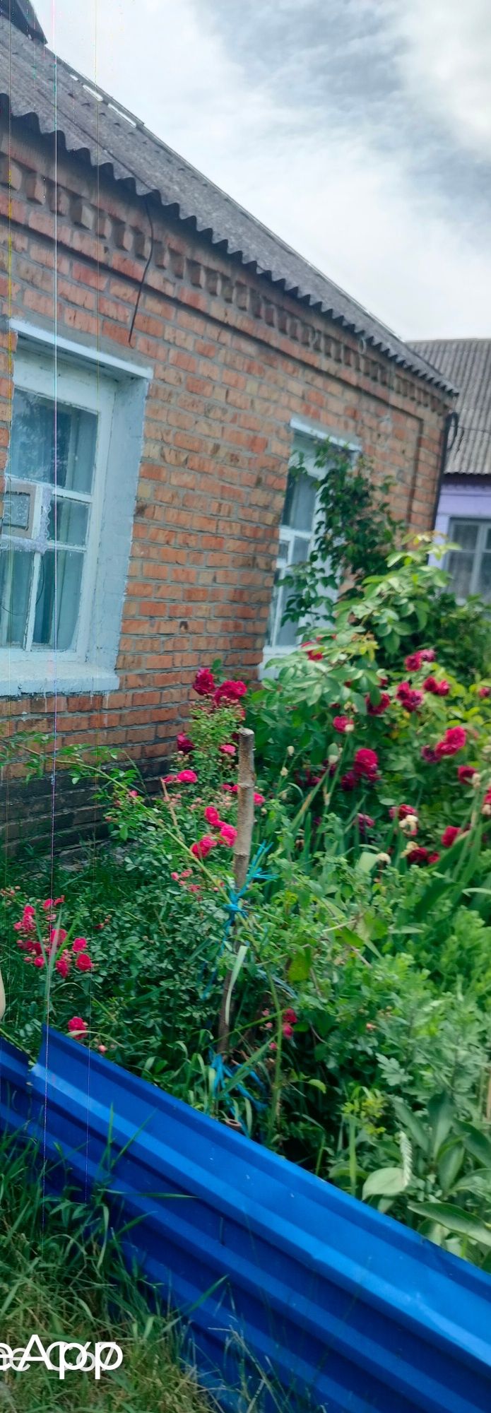 Продам дім в центрі карлівки