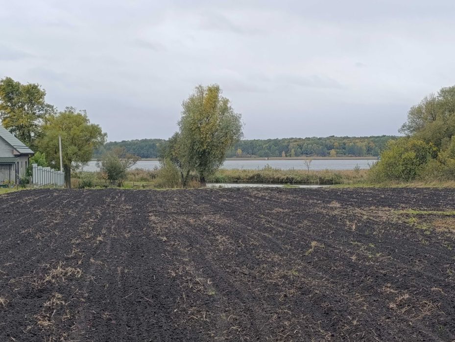 Продам будинок з земельною ділянкою с. Сомин