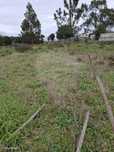 Terreno  para venda
