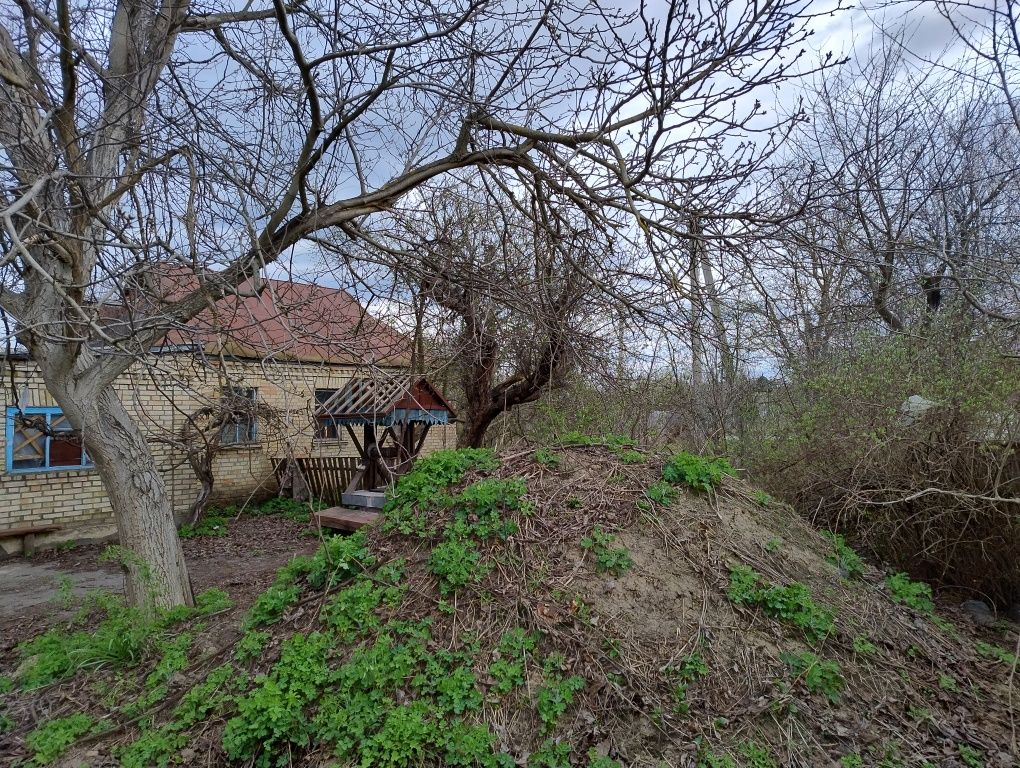 Земельная ділянка з будинком, с.Діброва Васильківського району