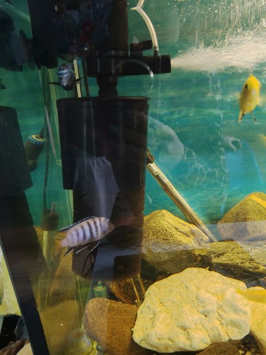 Sprzedam akwarium 350 l ,z całym pełnym wyposażeniem