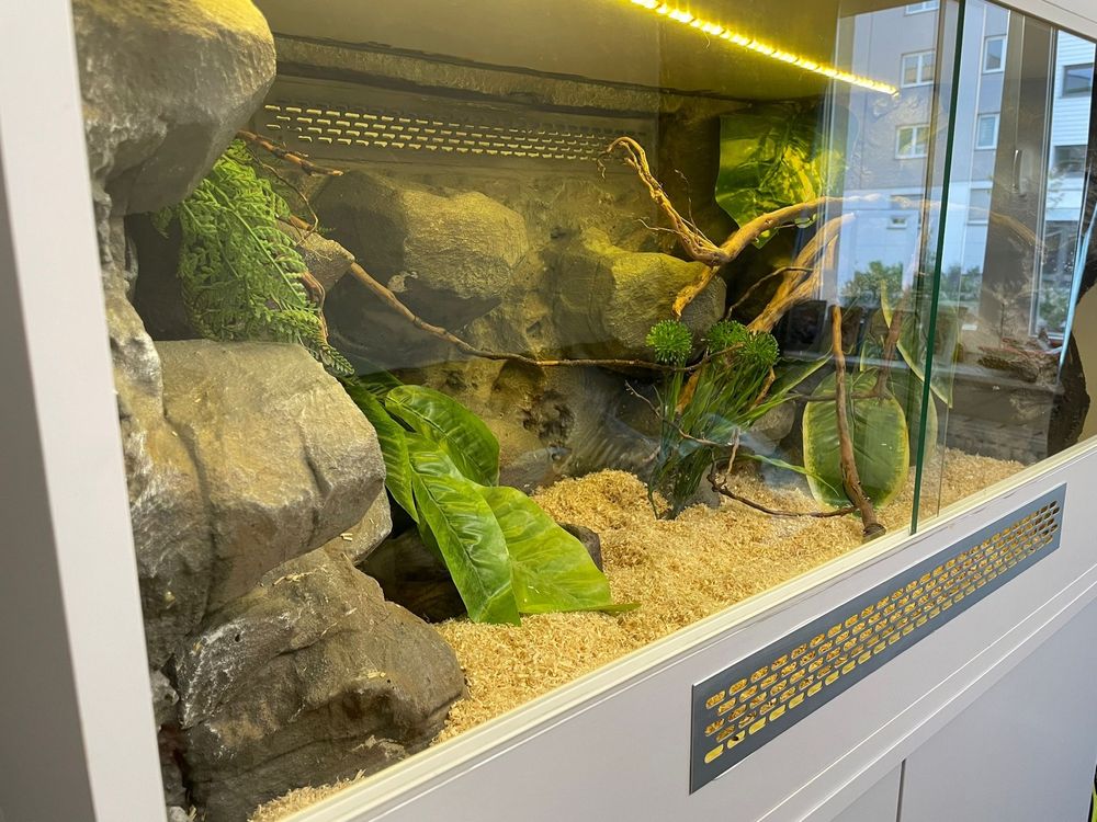 Terrarium dla węża 100x50x50