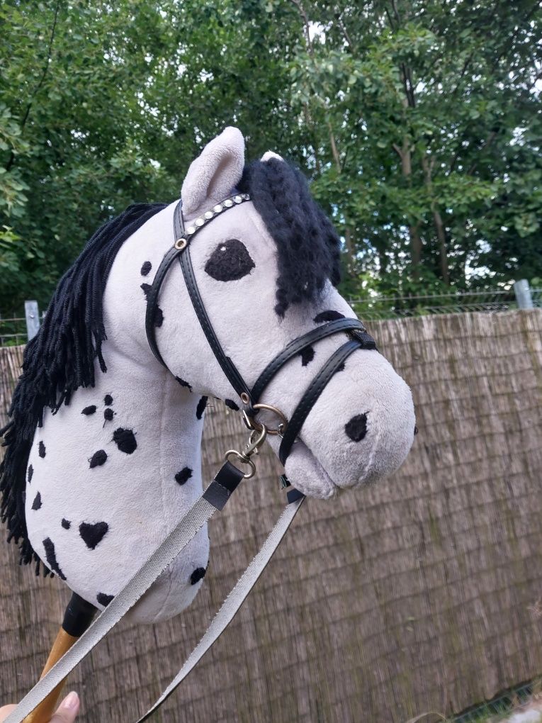 Hobby horse z ogłowiem tarantowaty