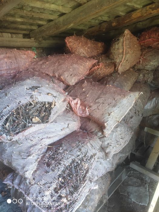 Zrębka z drzewa liściastego w workach
