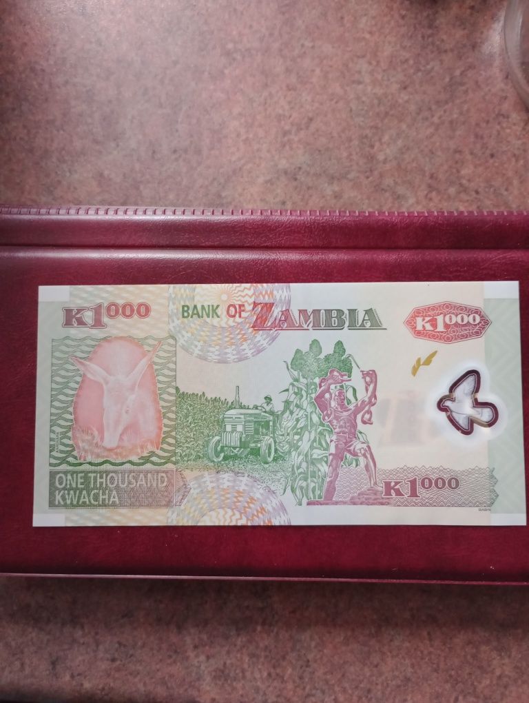 1000 kwacha Zambia banknot