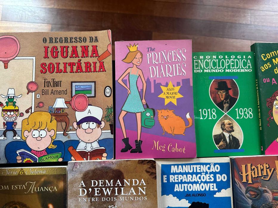 Lote de 13 livros variados — infantis, juvenis e enciclopédias