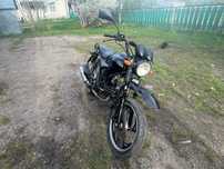 Musstang dingo 125