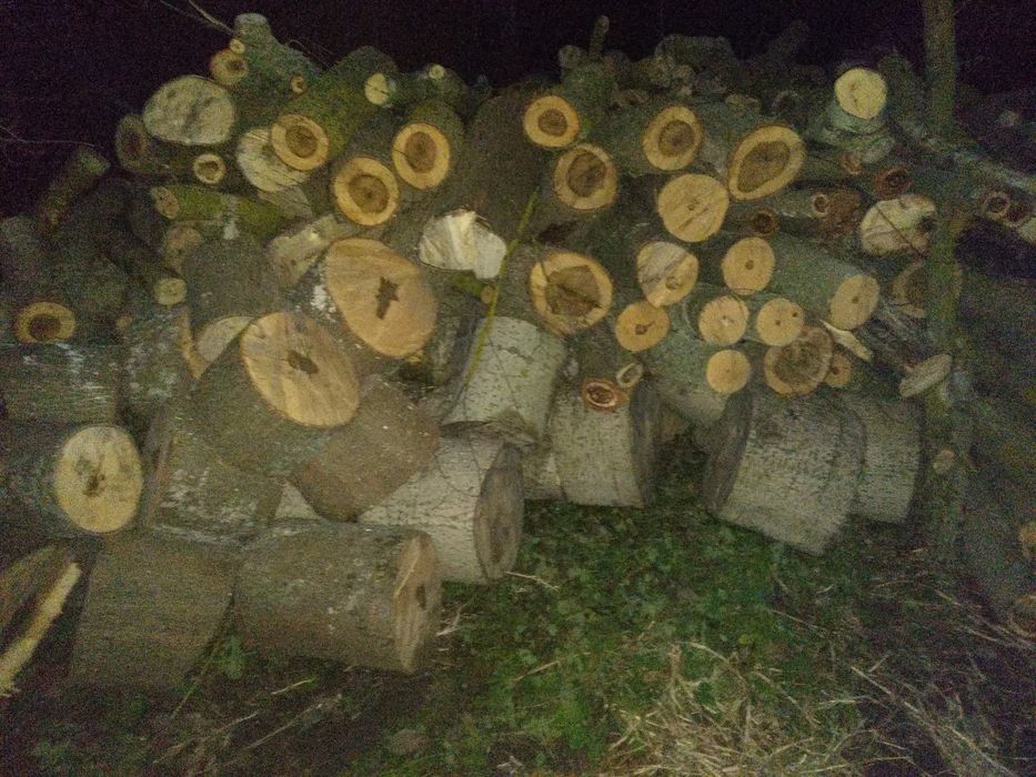 Продам дрова  дуб акація