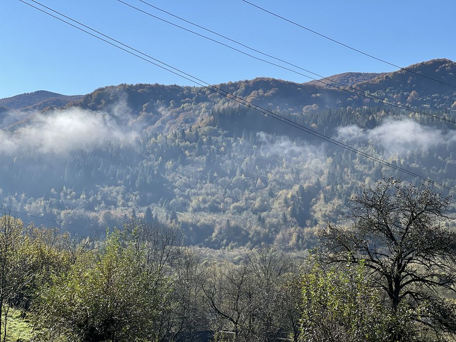 Східниця-Відпочинок в Карпатах. Оренда. Здам.Котедж з басейном.