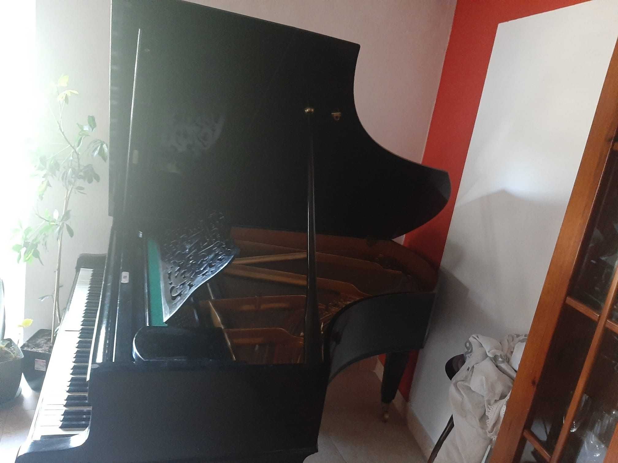 Piano Ibach esplendido