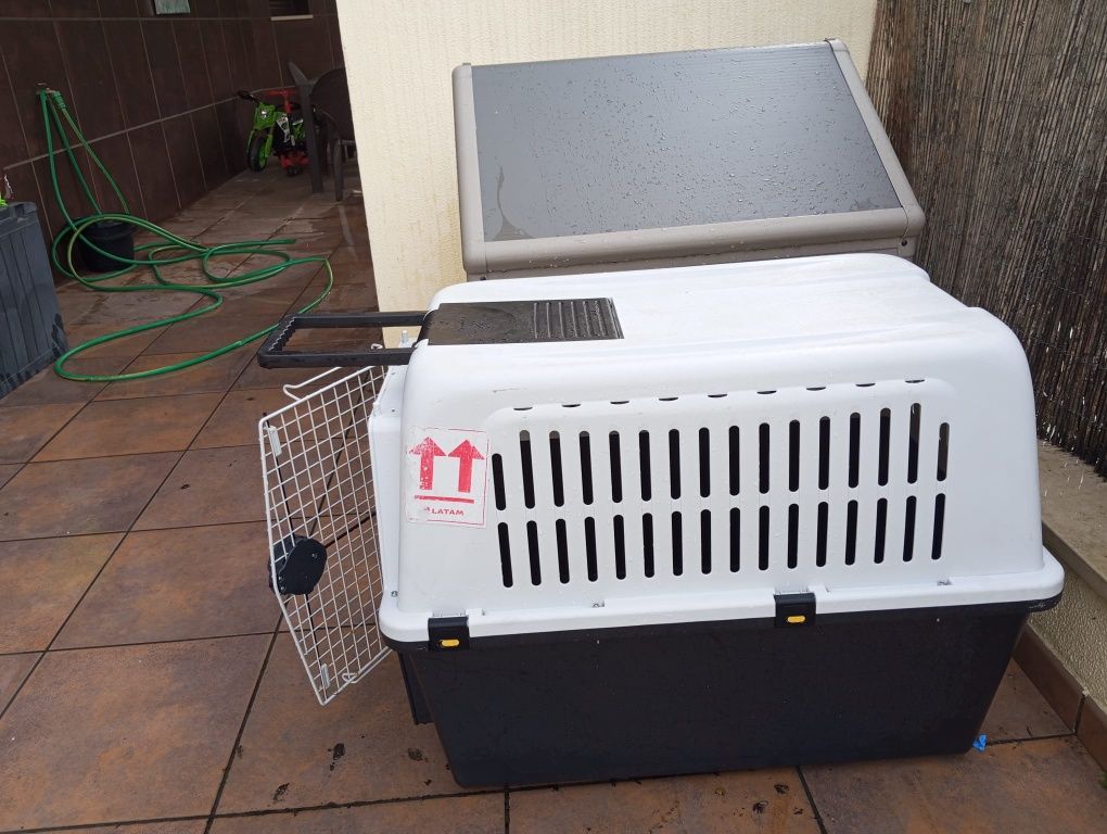 Casa e caixa para transportar cães