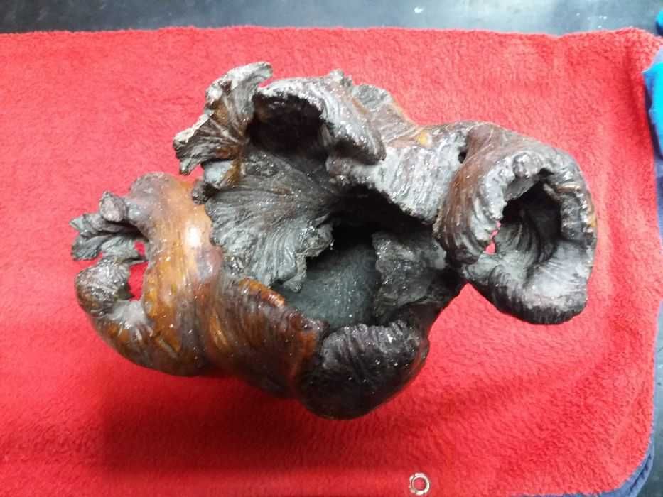 Pedaço de arvore de Angola (Cajueiro)