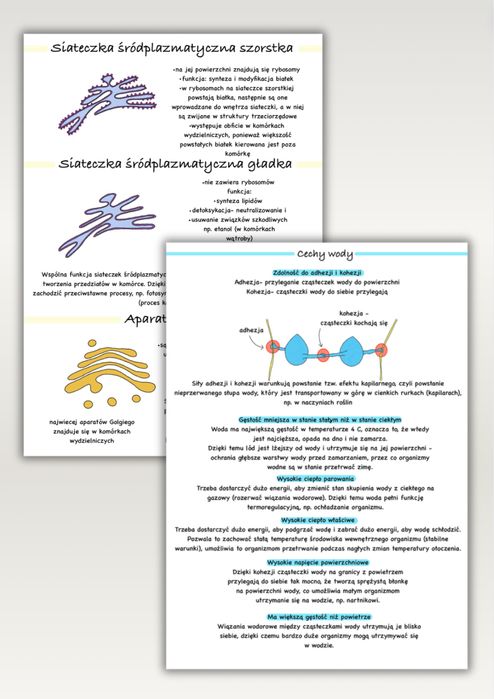 Notatki z BIOLOGII rozszerzonej |  Matura 2026/2027