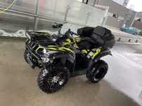 Yamaha grizzli 660