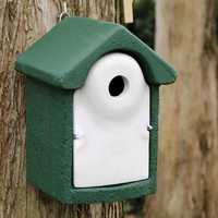 Budka dla ptaków Woodstone Nest Box 32 mm NOWA