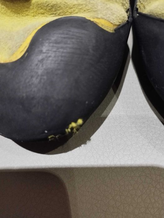 Buty wspinaczkowe dziecięce