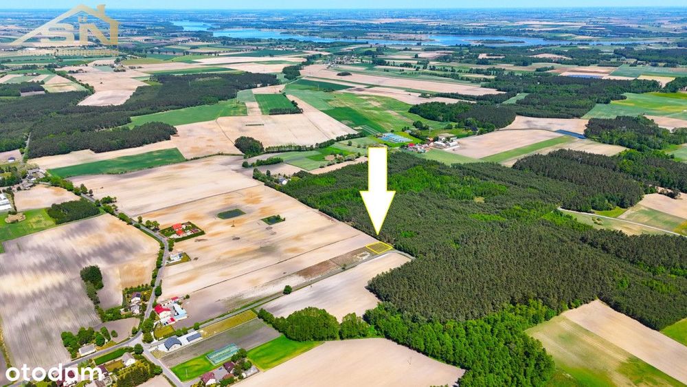 Działka budowlana granicząca z lasem