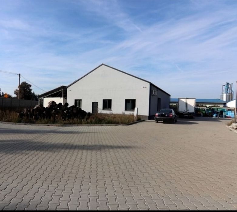 Nowa hala 245 m² grunt inwestycyjny 2100 m² chłodnia mroźnia sortownia
