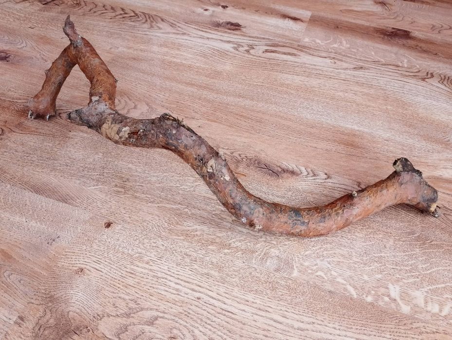 Naturalna gałąź drewno do rękodzieła