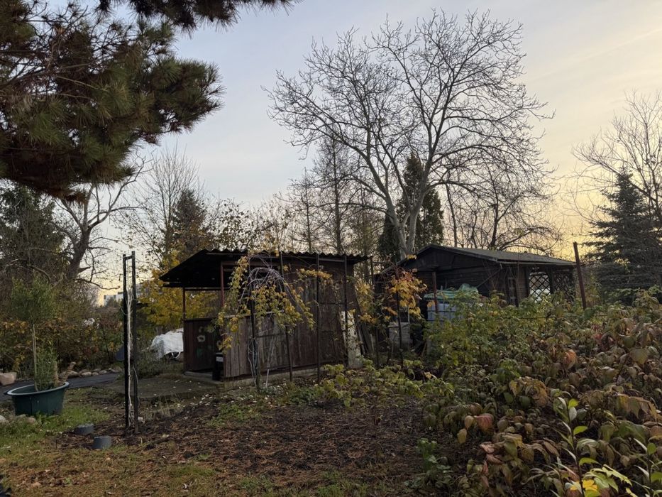 Działka w ROD „Pilczyce”