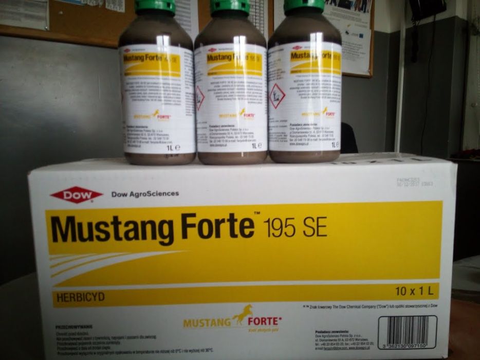 Mustang Forte 1L cena brutto