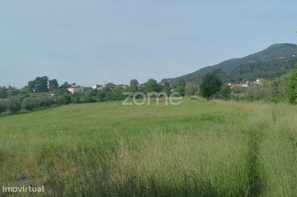 Terreno Rústico e Casas com vista para a Serra do Caramulo