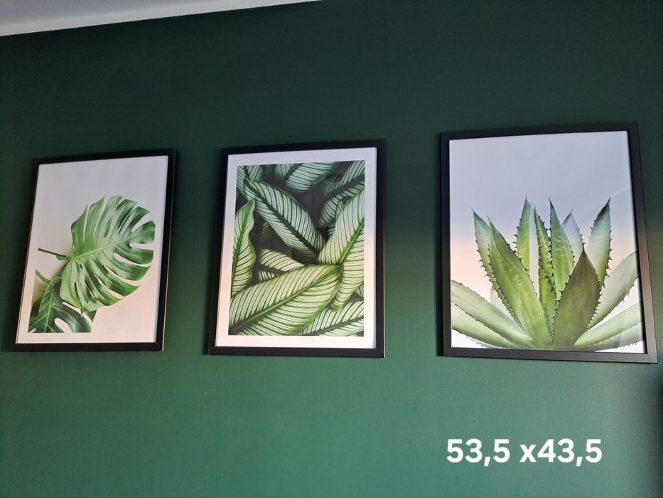 Ramy czarne ikea 40x50 i plakaty z liśćmi monstery aloes calathea