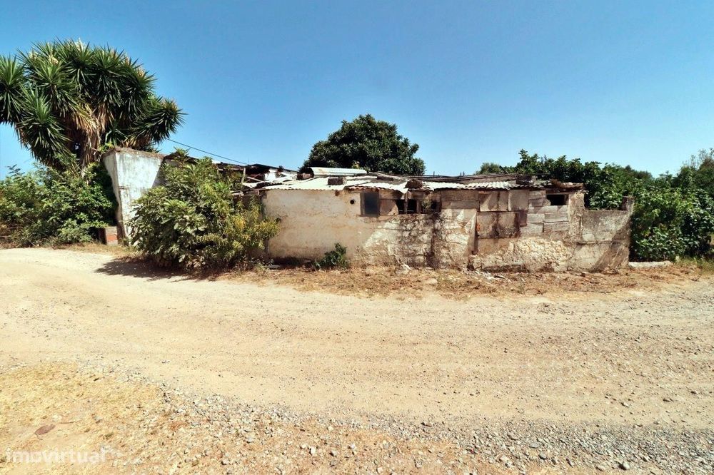 Lote de 240 m² com ruína de 50 m² – Brejo, Luz de Tavira, Santo Estêvã