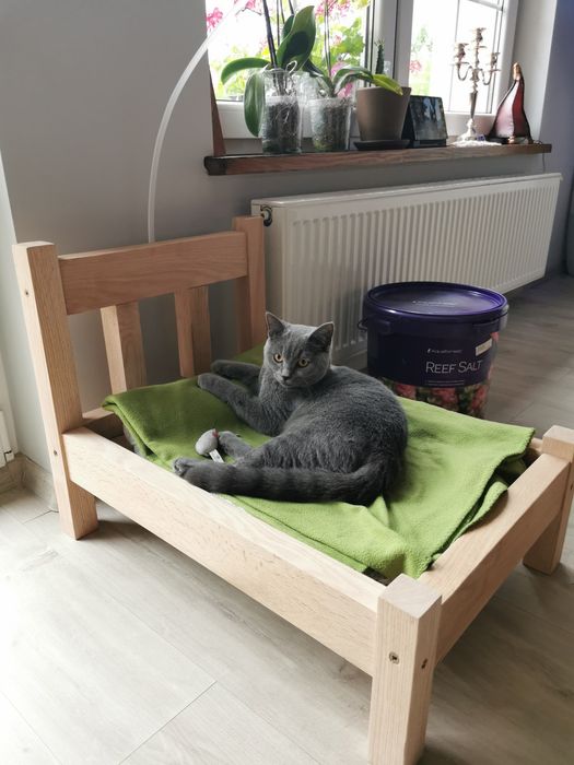 Promocja Łóżeczko legowisko dla kota drewniane