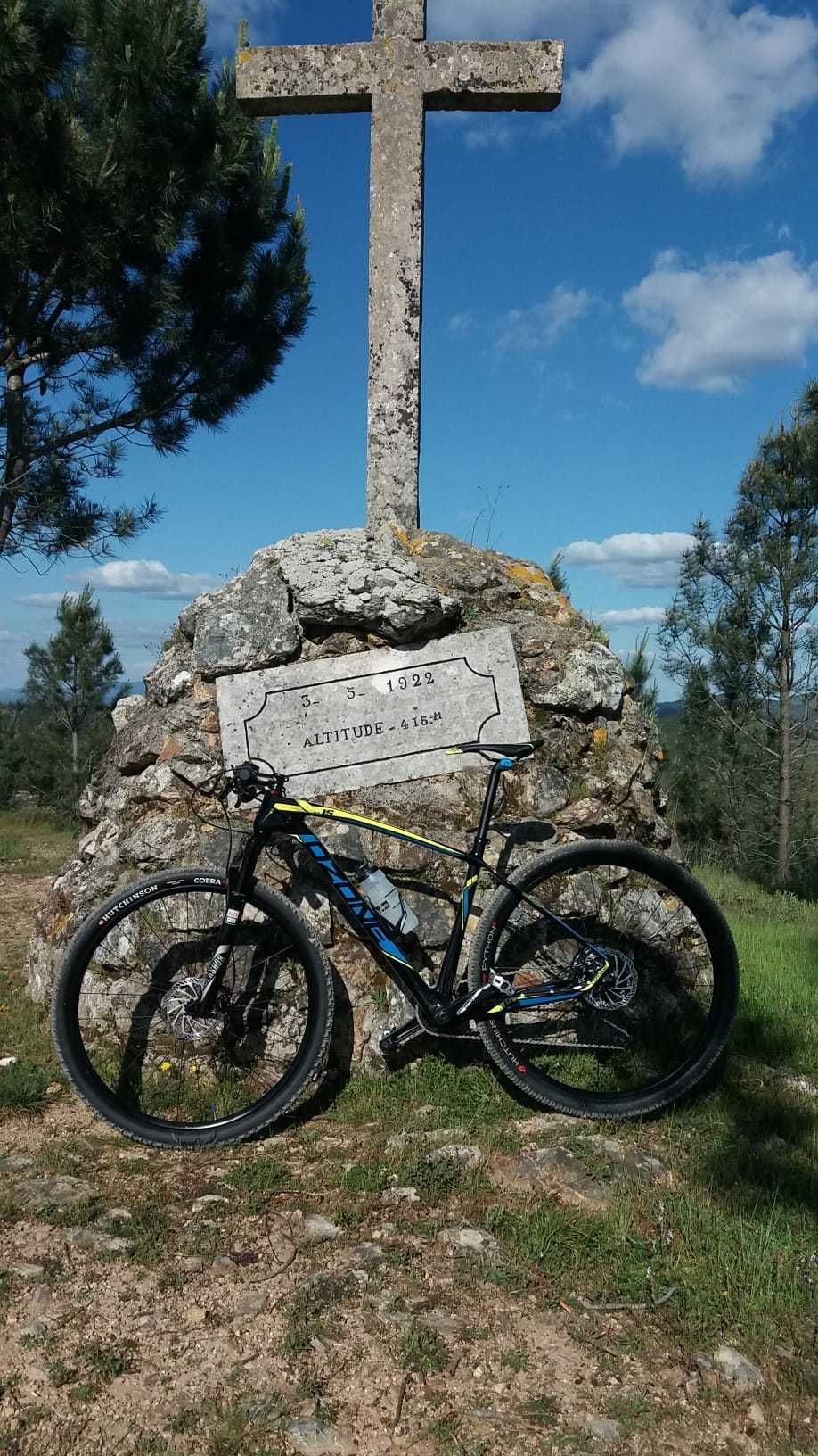 Bicicleta BTT roda 29 em Carbono T:L