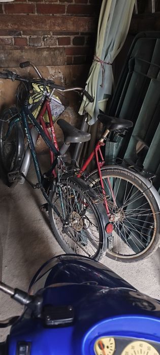 Rowery damka i Gural