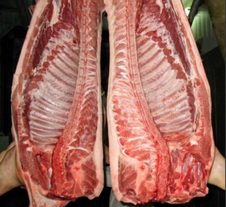 Продам м'ясо свинини