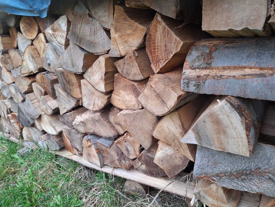 Buk drewno kominkowe suche 3 letnie