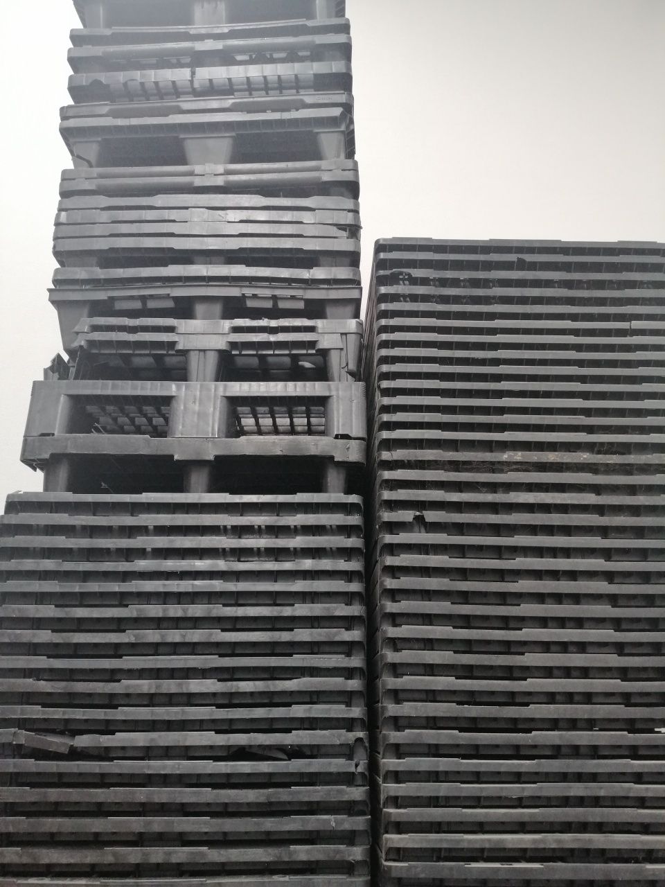 Paletes plástico
