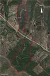 Terreno rustico de 11 hectares na zona de Santa Maria na Freguesia de