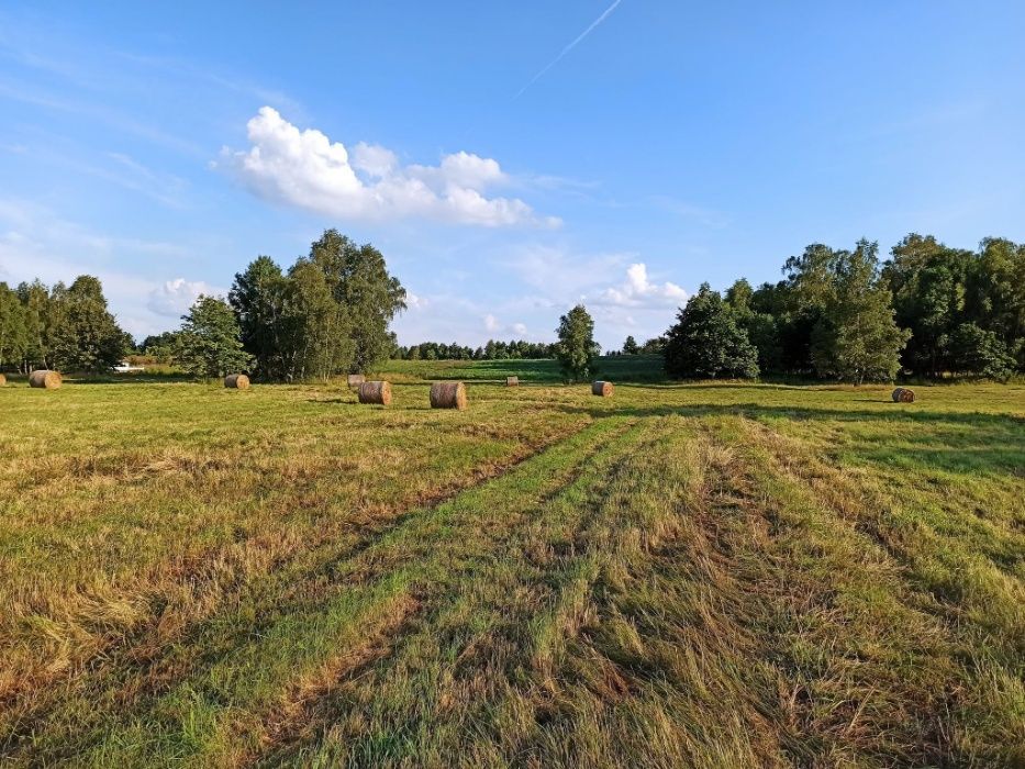 Siano baloty 150zł za balot