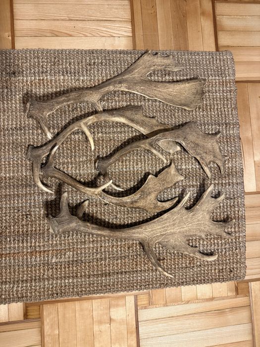 Poroza daniela naturalne zrzuty 5 sztuk zestaw