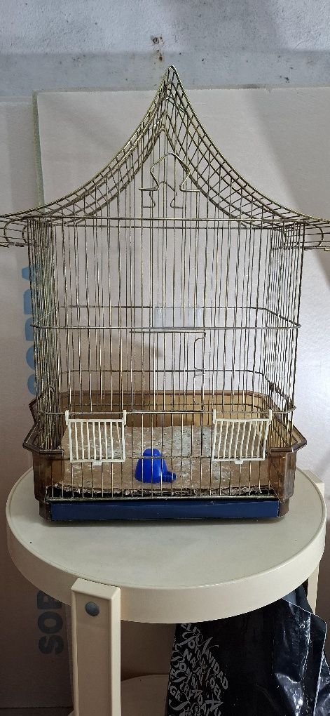 Vendo gaiola para pássaros