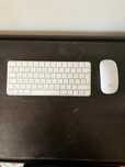 Rato e Teclado Apple