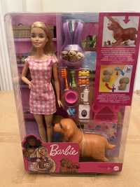 Игровой набор Барби Детский сад щенков, Barbie Doggy Daycare