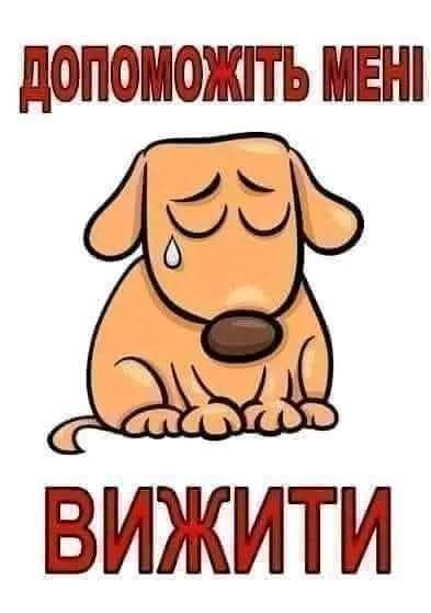 Терміново потрібна допомога