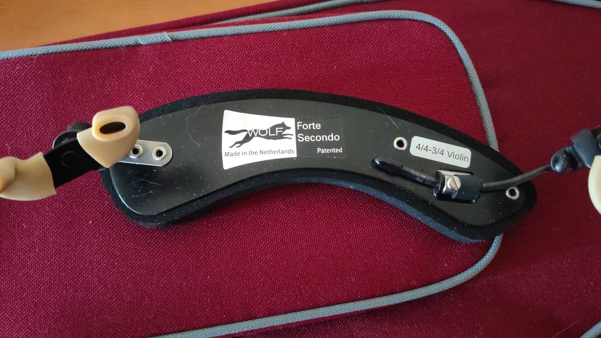 Violino Stentor Student II