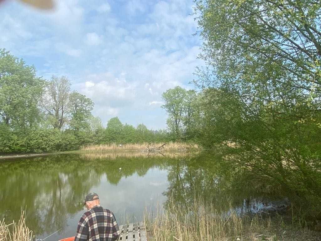 Działka z parkiem, naturą i stawem !