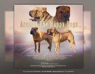 Zapowiedź miotu Shar Pei