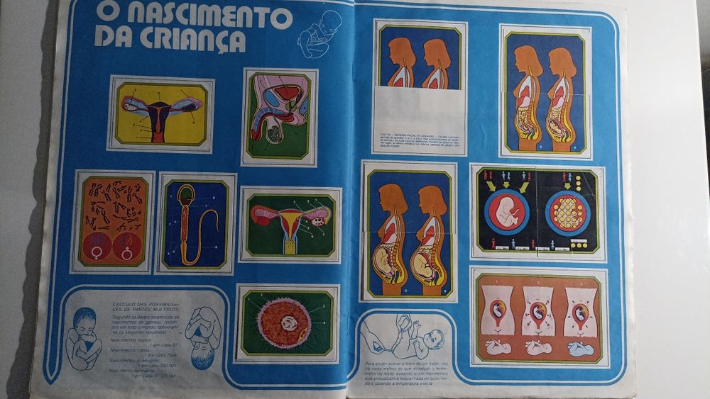 Caderneta Anatomia coleção didática de 240