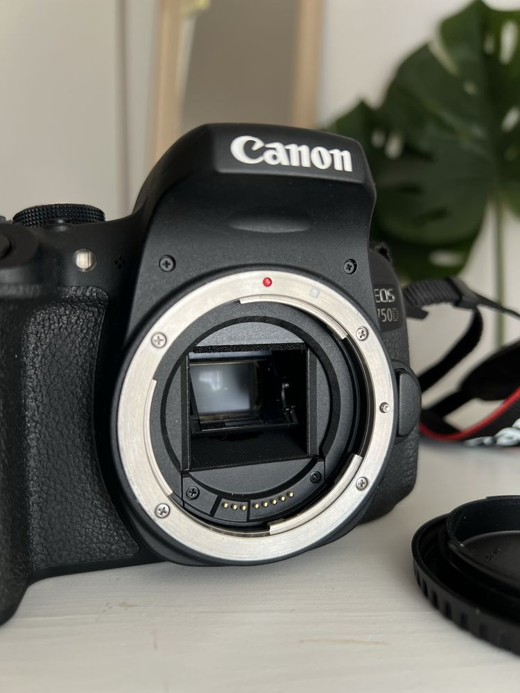 Canon EOS 750D 24.2 MP