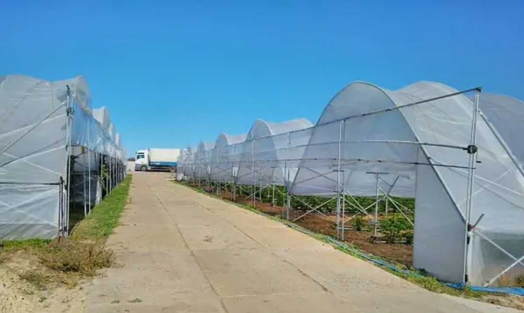 Промислові теплиці 10х50м під ключ різної комплектаціїї