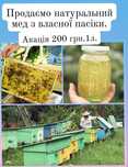 Продам МЕД ЗБІР 2024, АКАЦІЯ 200 грн/л, Рапс- 120 грн/л.