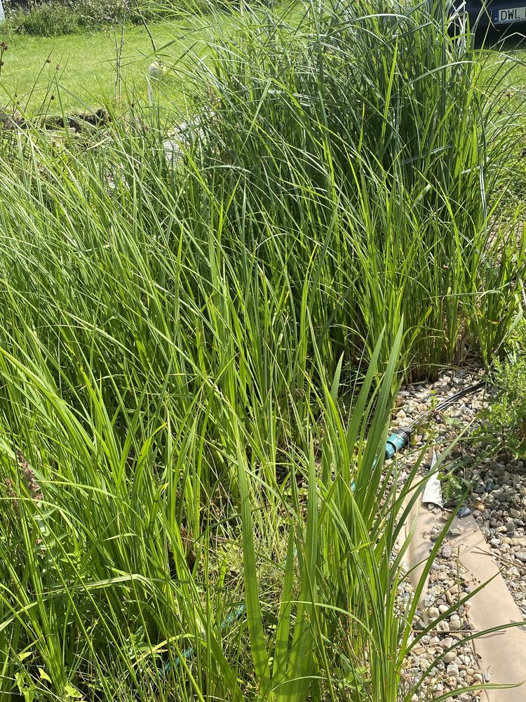 Filtr do oczka wodnego,biobasenu,biologiczny czysta natura