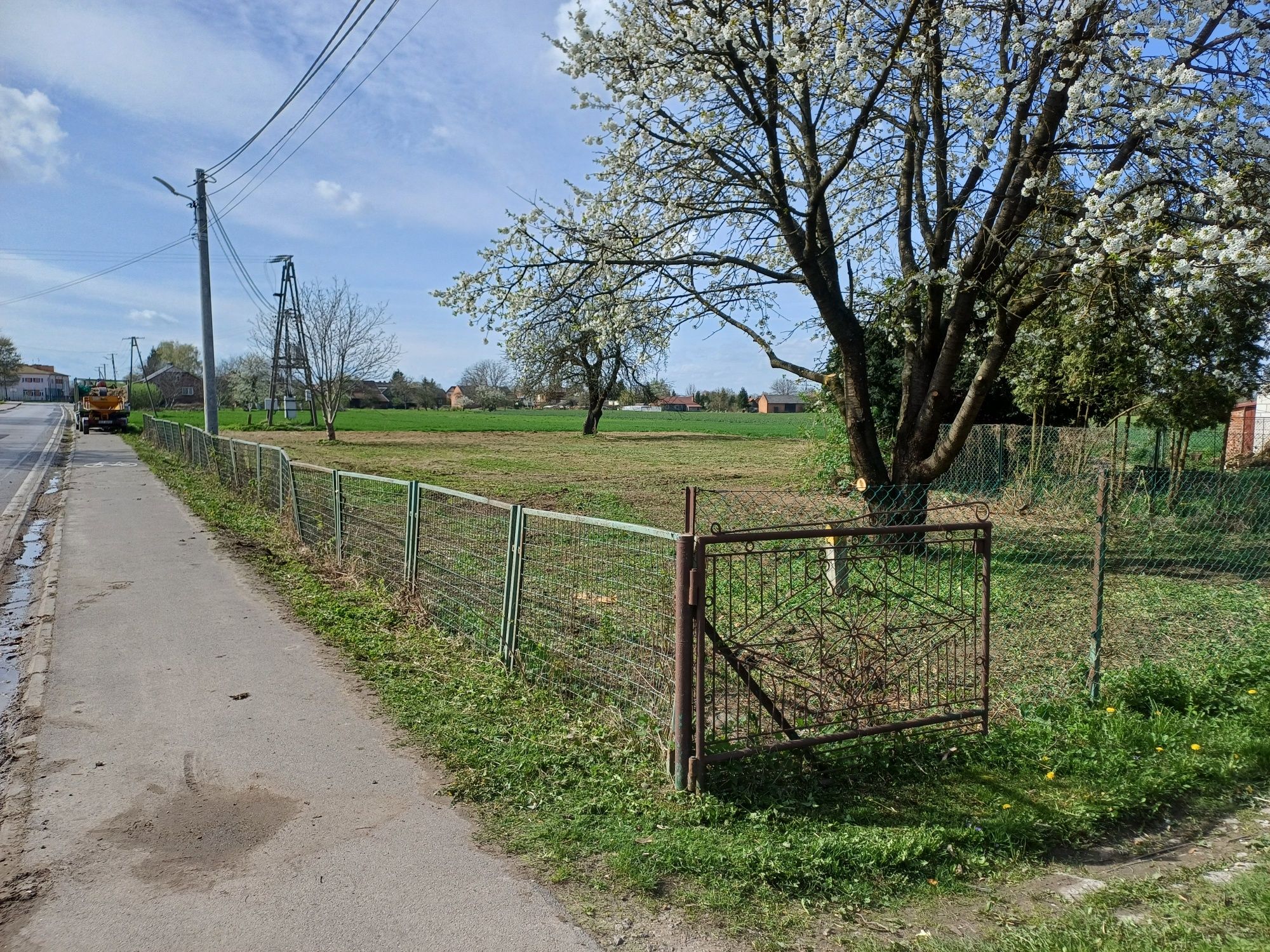 Wycinka pielęgnacja drzew, formowanie żywopłotów, usługi ogrodnicze